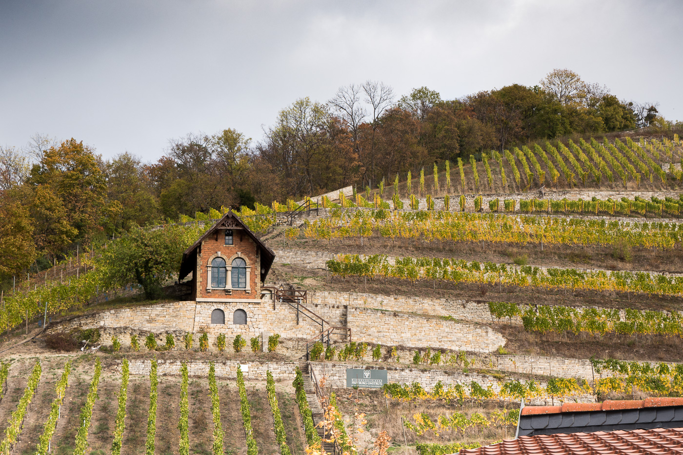 Freyburg Saale Unstrut Region – Wandern durch Weinregion Freyburg und Besuch Rotkäppchen Manufaktur